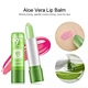 tinted lip balm